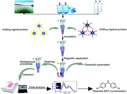 Graphical abstract: Sensitive detection of bisphenol A in drinking water and river water using an upconversion nanoparticles-based fluorescence immunoassay in combination with magnetic separation