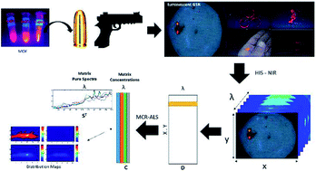 Graphical abstract: NIR hyperspectral images for identification of gunshot residue from tagged ammunition