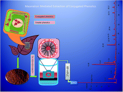 Graphical abstract: Maceration mediated liquid–liquid extraction of conjugated phenolics from spent black tea leaves extraction of non-extractable phenolics