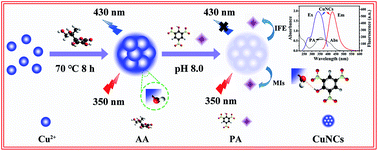 Graphical abstract: Copper nanoclusters with strong fluorescence emission as a sensing platform for sensitive and selective detection of picric acid
