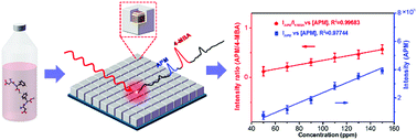 Graphical abstract: Self-assembly of Au@Ag core–shell nanocubes embedded with an internal standard for reliable quantitative SERS measurements