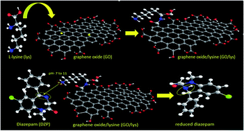Graphical abstract: Graphene oxide/lysine composite – a potent electron mediator for detection of diazepam