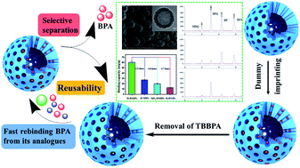 Graphical abstract: Rapid extraction of trace bisphenol A in real water samples using hollow mesoporous silica surface dummy molecularly imprinted polymers