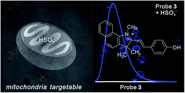 Graphical abstract: A mitochondria-targetable fluorescent probe for detection of bisulfite in living cells