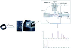 Graphical abstract: Determination of 16 polycyclic aromatic hydrocarbons in tire rubber by ultra-high performance supercritical fluid chromatography combined with atmospheric pressure photoionization-tandem mass spectrometry