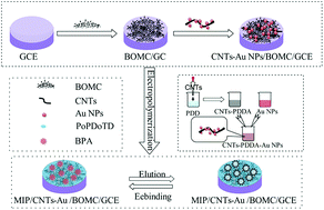 Graphical abstract: A novel bisphenol A electrochemical sensor based on a molecularly imprinted polymer/carbon nanotubes-Au nanoparticles/boron-doped ordered mesoporous carbon composite