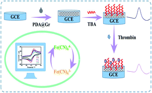 Graphical abstract: A facile electrochemical aptasensing platform based on a polydopamine@graphene composite for protein detection