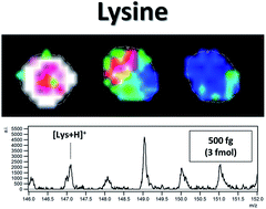 Graphical abstract: Lysine detection and quantification by laser desorption/ionization mass spectrometry on gold nanoparticle-enhanced target