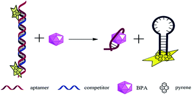 Graphical abstract: A novel pyrene-switching aptasensor for the detection of bisphenol A