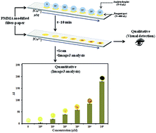 Graphical abstract: Poly(methyl methacrylate)-modified cellulose fibers patterned with highly selective chromogenic reagent for rapid and trace determination of Co2+ in water