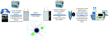 Graphical abstract: Application of ultrasonication for facilitating the extraction of hippuric acid and methyl hippuric acid in real samples using Fe3O4@SiO2@sodium dodecyl sulfate: experimental design methodology