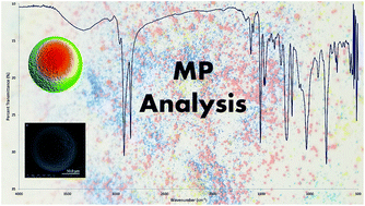 Graphical abstract: The combination of spectroscopy, microscopy, and profilometry methods for the physical and chemical characterization of environmentally relevant microplastics