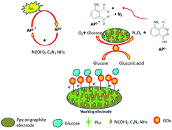 Graphical abstract: A new electrochemiluminescence biosensor for the detection of glucose based on polypyrrole/polyluminol/Ni(OH)2–C3N4/glucose oxidase-modified graphite electrode
