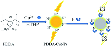Graphical abstract: Synthesis of novel fluorescent copper nanomaterials and their application in detection of iodide ions and catalysis