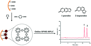 Graphical abstract: Sensitive determination of psoralen and isopsoralen in Fructus Psoraleae by online solid phase microextraction with a porphyrin-based porous organic polymer modified capillary