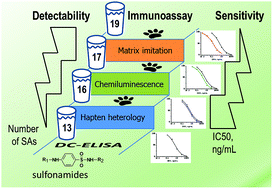 Graphical abstract: Three steps improving the sensitivity of sulfonamide immunodetection in milk