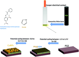 Graphical abstract: Fabricating a new electrochemically modified pencil graphite electrode based on acetophenone (2,4-dinitrophenyl)hydrazone for determining selenium in food and water samples