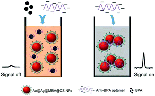 Graphical abstract: A highly sensitive SERS probe for bisphenol A detection based on functionalized Au@Ag nanoparticles
