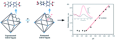 Graphical abstract: An exceptionally stable Zr-based fluorescent metal–organic framework for highly selective detection of pH