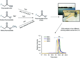 Graphical abstract: Direct aqueous injection of the fluoroacetate anion in potable water for analysis by liquid chromatography tandem mass-spectrometry