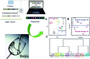 Graphical abstract: A nanophase material and organic dye modified colorimetric sensor array for the discrimination of baijiu