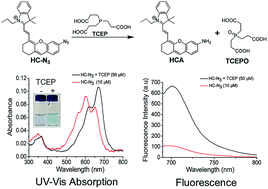 Graphical abstract: A selective and sensitive azido near-infrared fluorescent probe for tris(2-carboxyethyl)phosphine quantitative detection and its application for E. coli determination