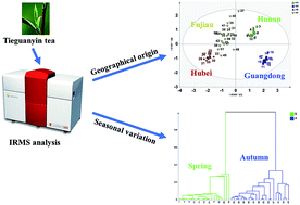 Graphical abstract: A multi-element stable isotope approach coupled with chemometrics for the determination of Tieguanyin tea geographical origin and harvest season