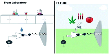 Graphical abstract: Paper spray ionization and portable mass spectrometers: a review