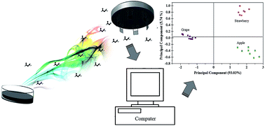 Graphical abstract: Aroma detection using a gas sensor array with different polyaniline films