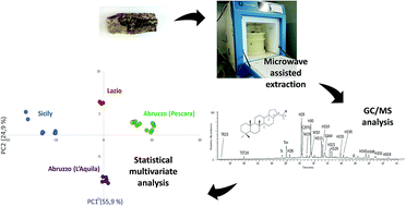 Graphical abstract: Chemical investigations of bitumen from Neolithic archaeological excavations in Italy by GC/MS combined with principal component analysis