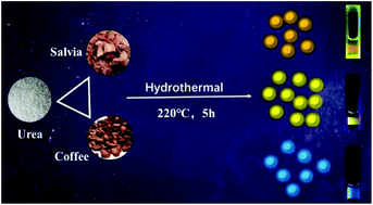 Graphical abstract: Concentration-dependent multicolor fluorescent carbon dots for colorimetric and fluorescent bimodal detections of Fe3+ and l-ascorbic acid