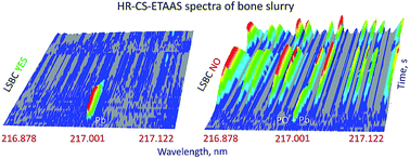 Graphical abstract: Direct determination of lead in bones using slurry sampling and high-resolution continuum source electrothermal atomic absorption spectrometry
