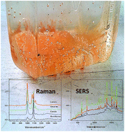 Graphical abstract: Biogeochemical specificity of adjacent natural carbonated spring waters from Swiss Alps promptly revealed by SERS and Raman technology