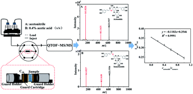 Graphical abstract: Rapid extraction, discrimination and quantification of thermally unstable isomeric acteoside and isoacteoside in natural products by online extraction-quadrupole time-of-flight tandem mass spectrometry