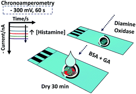 Graphical abstract: Amperometric enzyme sensor for the rapid determination of histamine