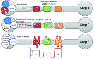 Graphical abstract: A hydrogel sensor-based microfluidic platform for the quantitative and multiplexed detection of fertility markers for point-of-care immunoassays