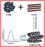 Graphical abstract: Highly sensitive electrochemical sensing of para-chloronitrobenzene using a carbon nanohorn–nanotube hybrid modified electrode