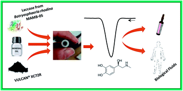 Graphical abstract: Laccase from Botryosphaeria rhodina MAMB-05 as a biological component in electrochemical biosensing devices