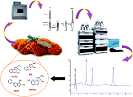 Graphical abstract: An advanced microwave-assisted extraction-low density solvent based on a sensitive microextraction method coupled with reverse phase high-performance liquid chromatography for the simultaneous determination of heterocyclic aromatic amines in fried chicken nuggets