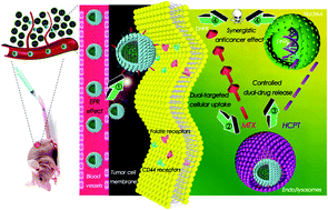 Graphical abstract: Integration of phospholipid-hyaluronic acid-methotrexate nanocarrier assembly and amphiphilic drug–drug conjugate for synergistic targeted delivery and combinational tumor therapy