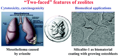 Graphical abstract: Applications of zeolites in biotechnology and medicine – a review