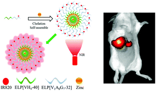 Graphical abstract: IR820 covalently linked with self-assembled polypeptide for photothermal therapy applications in cancer