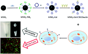 Graphical abstract: Black TiO2-based nanoprobes for T1-weighted MRI-guided photothermal therapy in CD133 high expressed pancreatic cancer stem-like cells