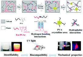 Graphical abstract: A novel high-strength photoluminescent hydrogel for tissue engineering