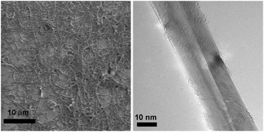 Graphical abstract: Boron nitride nanomaterials: biocompatibility and bio-applications