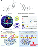 Graphical abstract: Non-triggered sequential-release liposomes enhance anti-breast cancer efficacy of STS and celastrol-based microemulsion