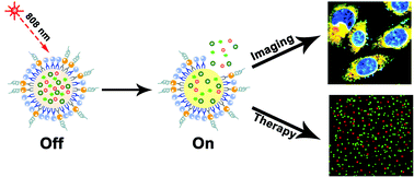 Graphical abstract: Thermosensitive drug-loading system based on copper sulfide nanoparticles for combined photothermal therapy and chemotherapy in vivo
