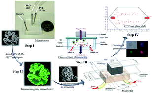 Graphical abstract: Microfluidics-enabled rapid manufacturing of hierarchical silica-magnetic microflower toward enhanced circulating tumor cell screening