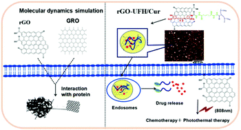 Graphical abstract: Heparin-reduced graphene oxide nanocomposites for curcumin delivery: in vitro, in vivo and molecular dynamics simulation study