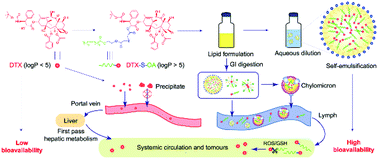 Graphical abstract: Formulating a single thioether-bridged oleate prodrug into a self-nanoemulsifying drug delivery system to facilitate oral absorption of docetaxel